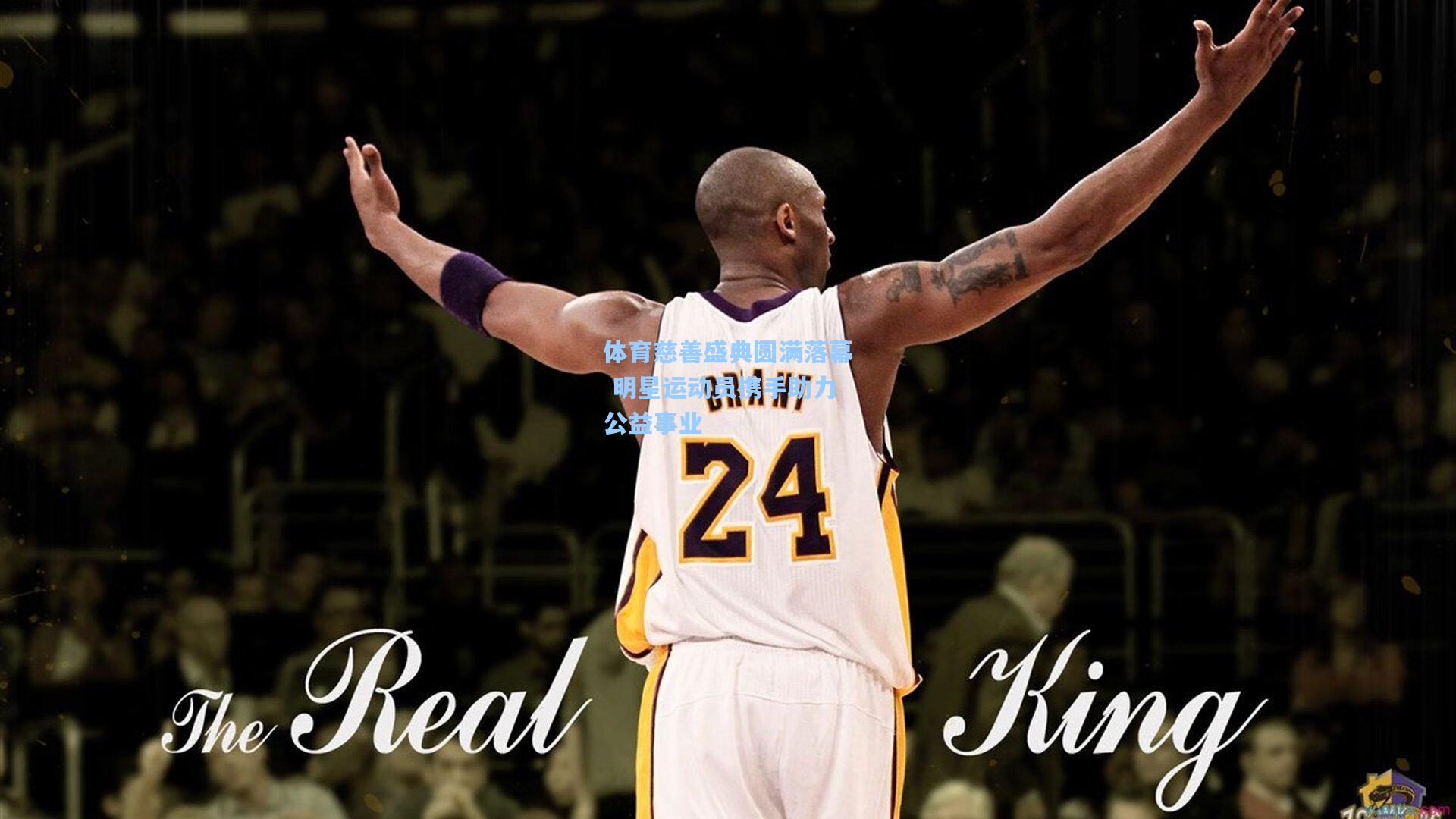 体育慈善盛典圆满落幕 明星运动员携手助力公益事业